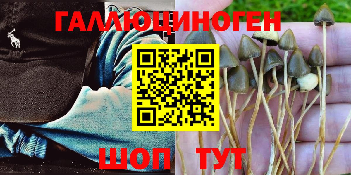 Галлюциногенные грибы Psilocybine cubensis Каменск-Уральский