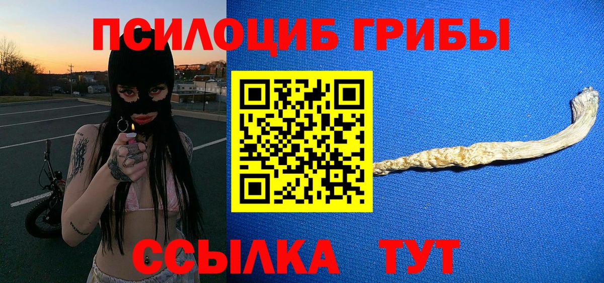 хочу   Вход с VPN  Каменск-Уральский  Псилоцибиновые грибы мицелий 